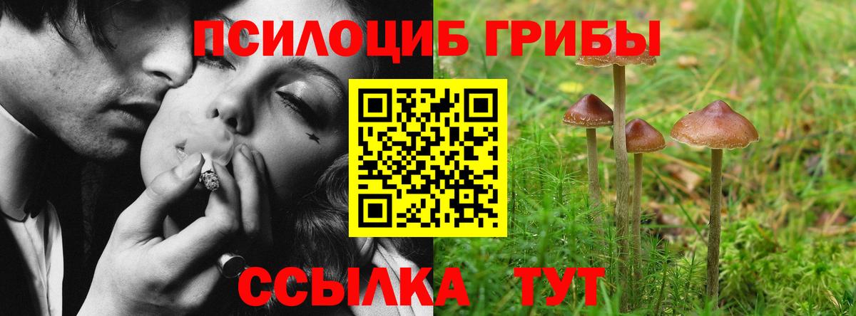 Псилоцибиновые грибы мухоморы  Вход с VPN  Краснознаменск  Галлюциногенные грибы Psilocybe 
